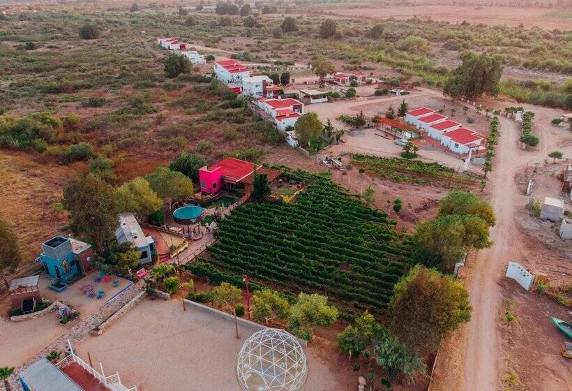 Ecléctico Guadalupe