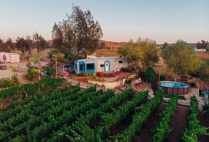 Ecléctico Guadalupe