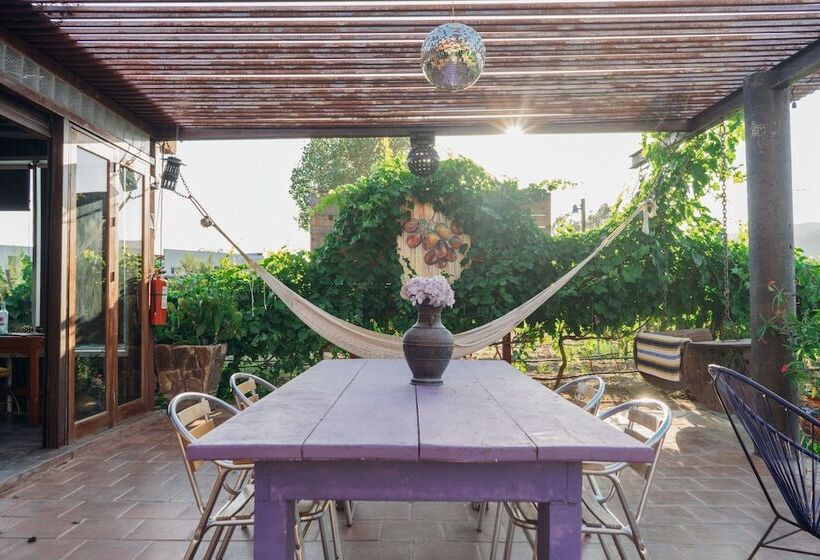 Ecléctico Guadalupe