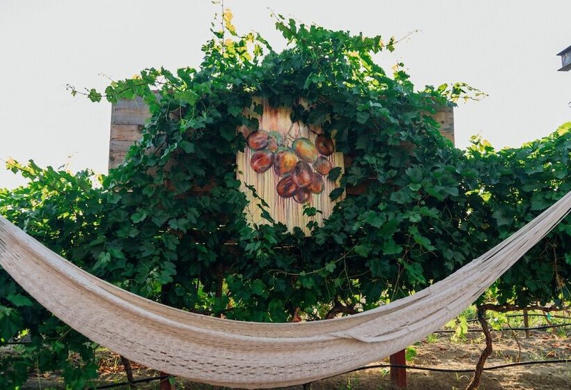 Ecléctico Guadalupe