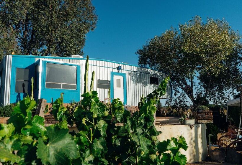 Ecléctico Guadalupe