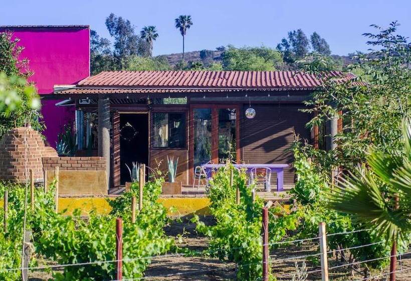 Ecléctico Guadalupe