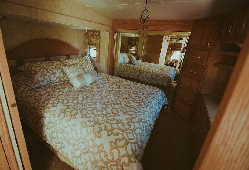 Ecléctico Guadalupe