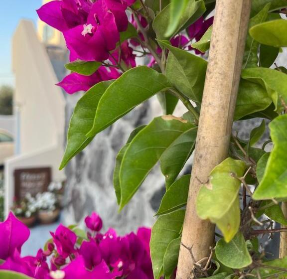 Flora S House & Cave Winery