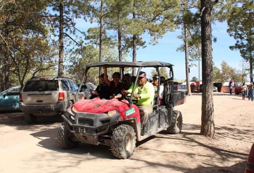 فندق Cabañas Margarito