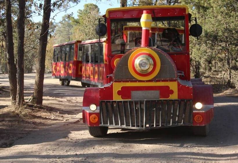 فندق Cabañas Margarito