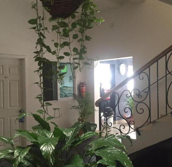 酒店 Casa Del Parque Vallarta