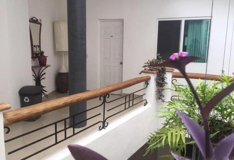 酒店 Casa Del Parque Vallarta