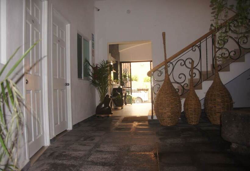 酒店 Casa Del Parque Vallarta