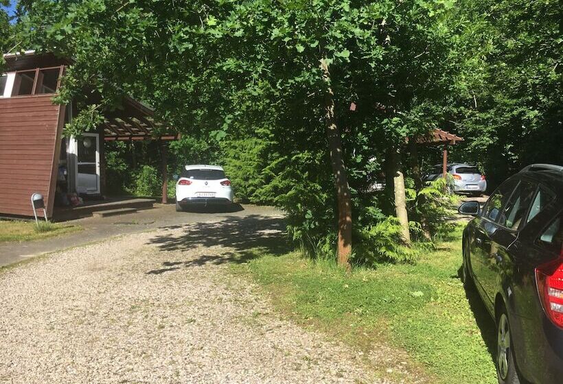 ホテル Dancamps Trelde Naes