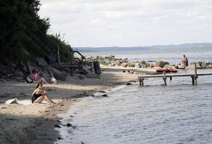 ホテル Dancamps Trelde Naes