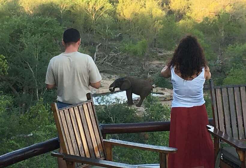 בית מלון כפרי Elephant Game Lodge