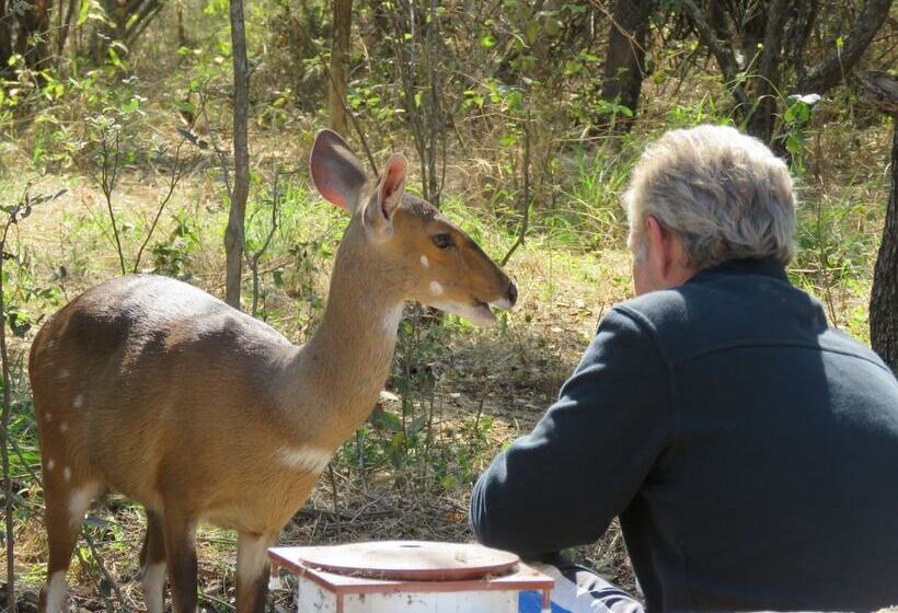 בית מלון כפרי Foxy Crocodile Bush Lodge & Kruger Safari S   No Loadshedding
