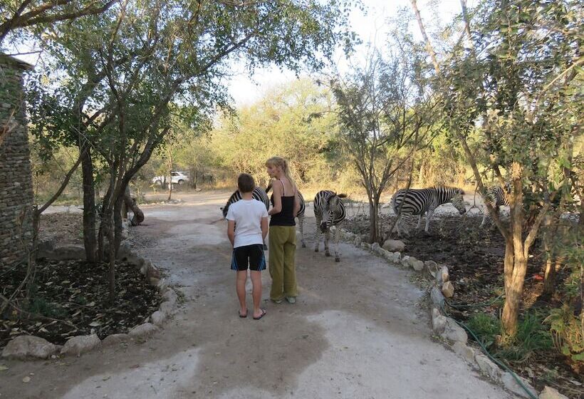 בית מלון כפרי Foxy Crocodile Bush Lodge & Kruger Safari S   No Loadshedding