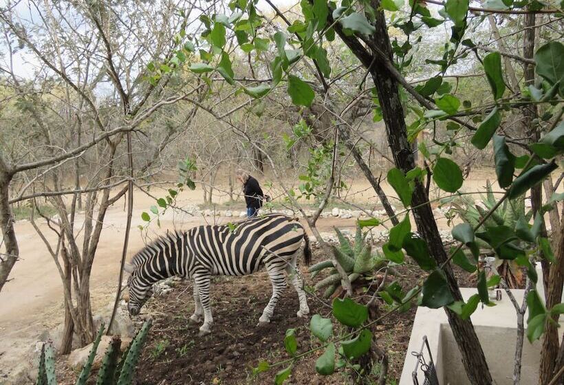호텔 Foxy Crocodile Bush Lodge & Kruger Safari S No Loadshedding