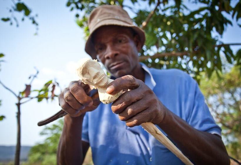 酒店 Fundudzi Cultural Camp