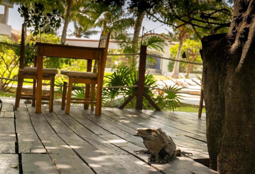 فندق Marina Paraiso Isla Mujeres