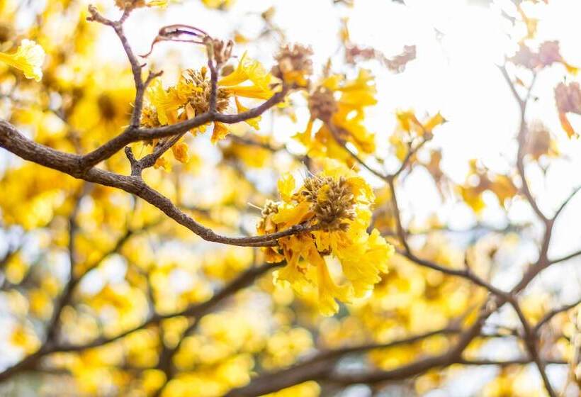 فندق Villa Margarita