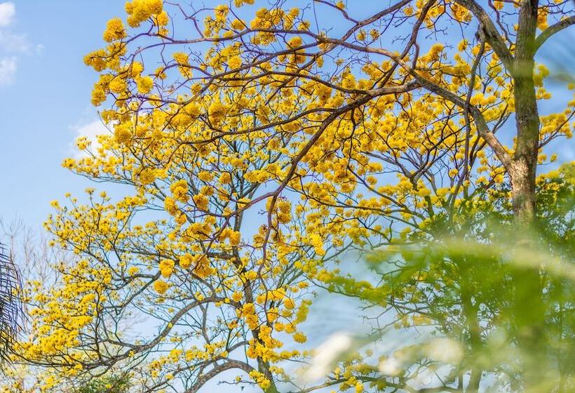 فندق Villa Margarita