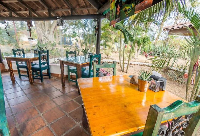 فندق Villa Margarita