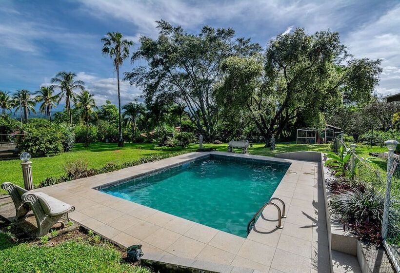 فندق Villa Margarita