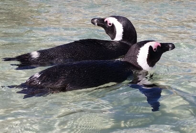 Hout Bay Beach Cottage