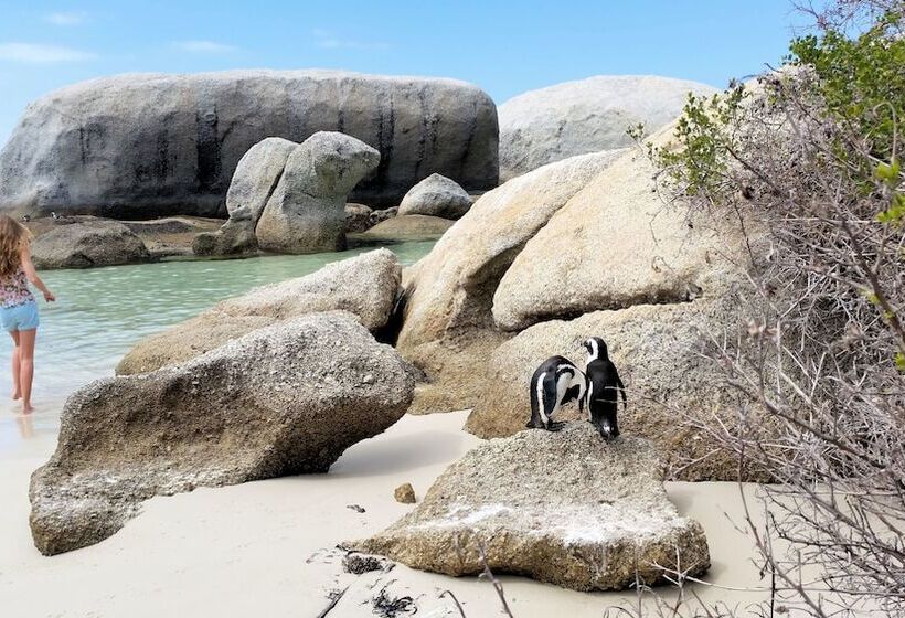 Hout Bay Beach Cottage