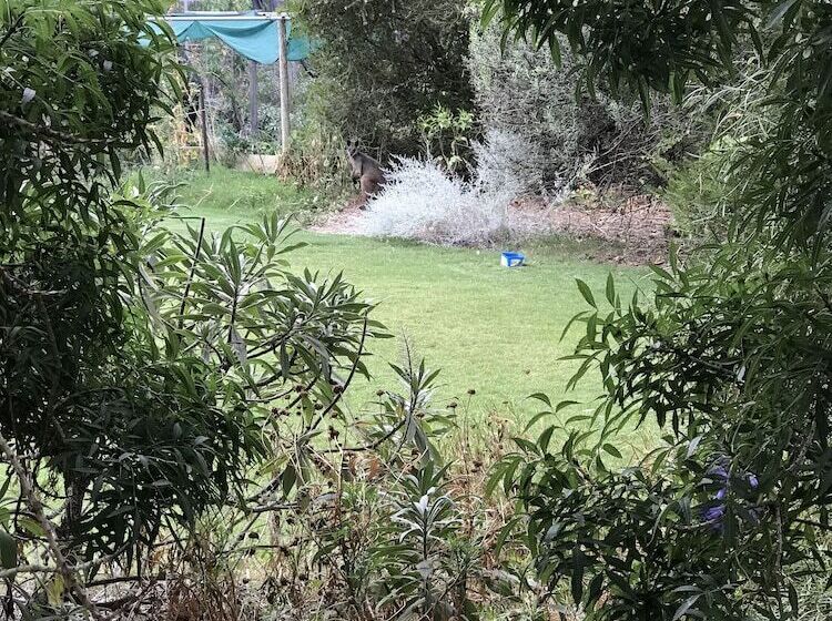 Padthaway Caravan Park