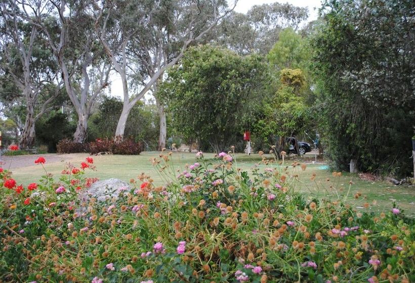 Padthaway Caravan Park