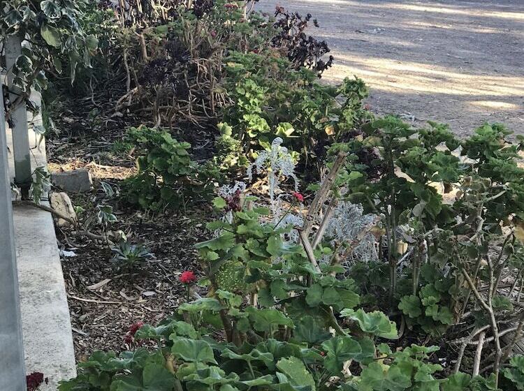 Padthaway Caravan Park