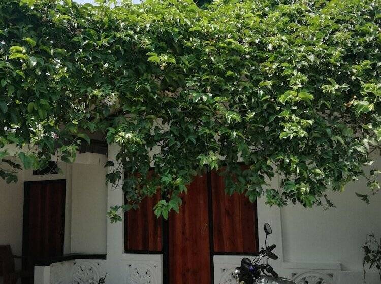 פנסיון 20 House Arugam