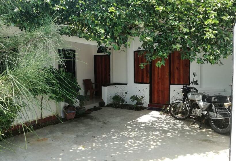 פנסיון 20 House Arugam