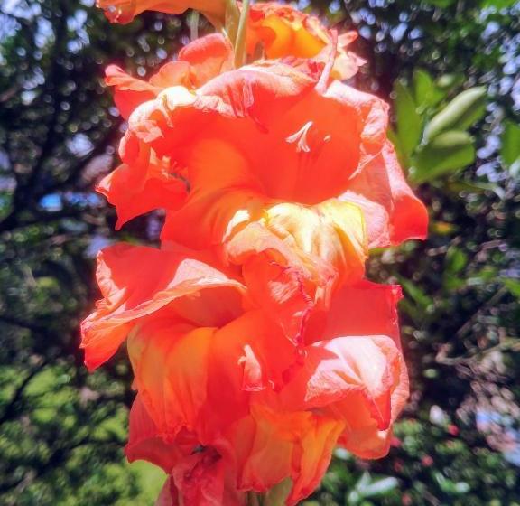 پانسیون Lost Garden Annex