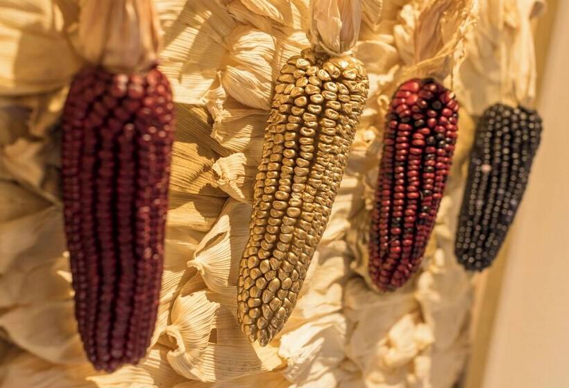 Пансион Meztli: Casa Boutique & Spa