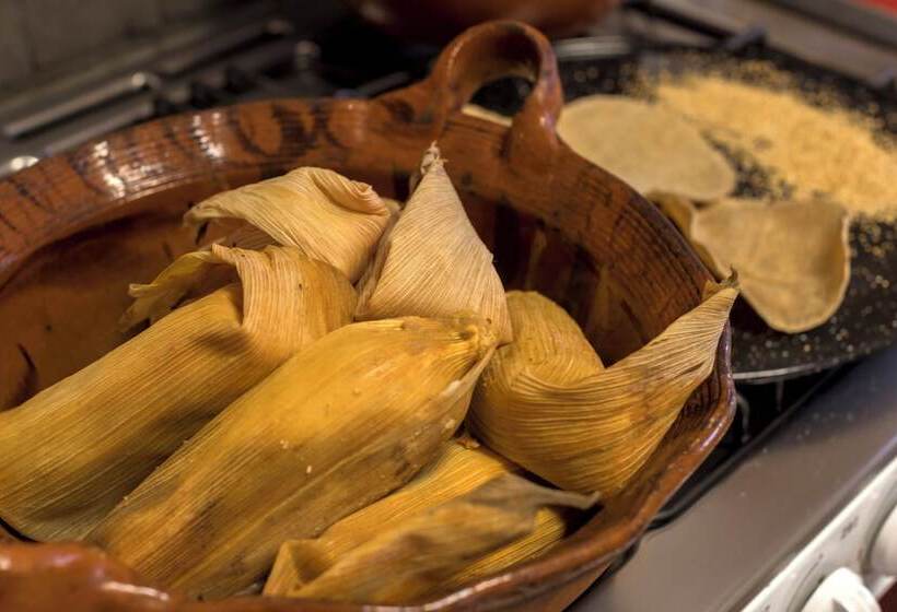 Пансион Meztli: Casa Boutique & Spa