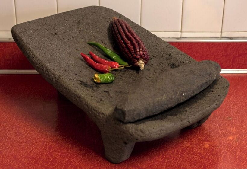 Пансион Meztli: Casa Boutique & Spa