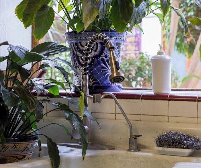 Пансион Meztli: Casa Boutique & Spa