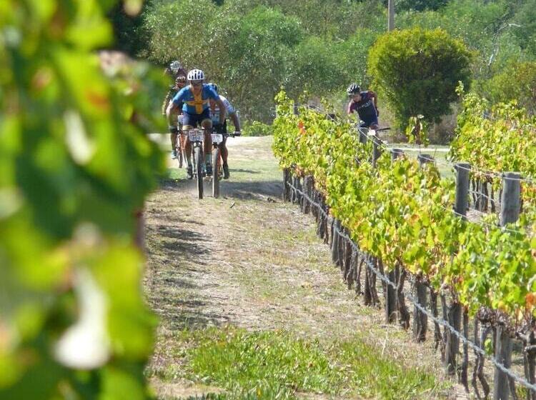 Пансион Misty Mountains