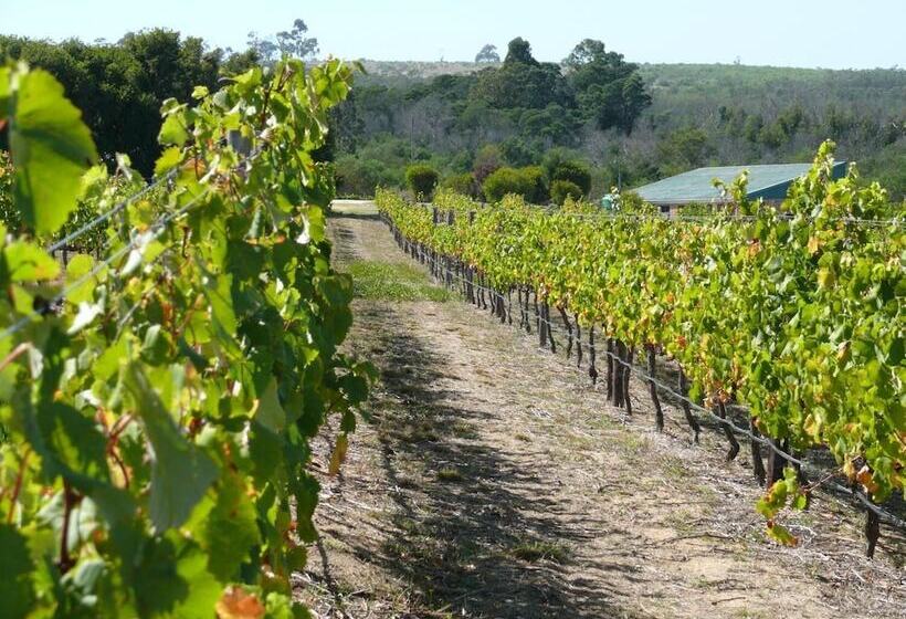 Пансион Misty Mountains