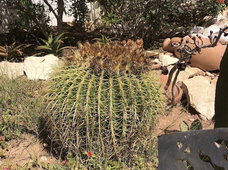 بنسيون Villa Jardin De L'ocean