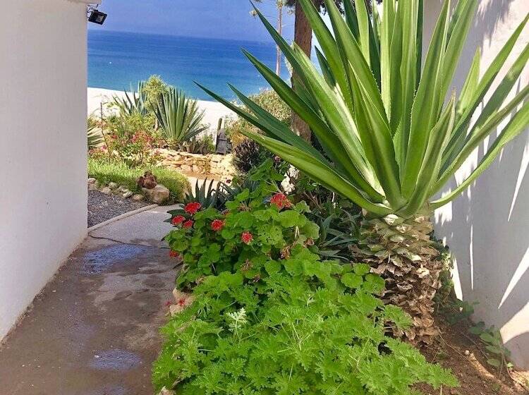 بنسيون Villa Jardin De L'ocean