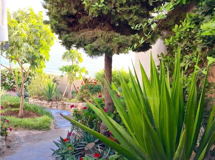 بنسيون Villa Jardin De L'ocean
