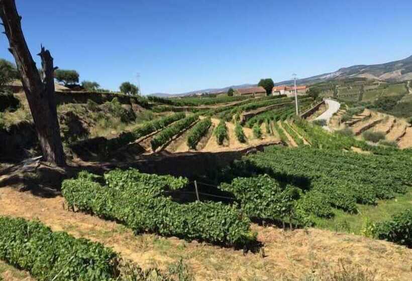 Quinta Dos Espinheiros