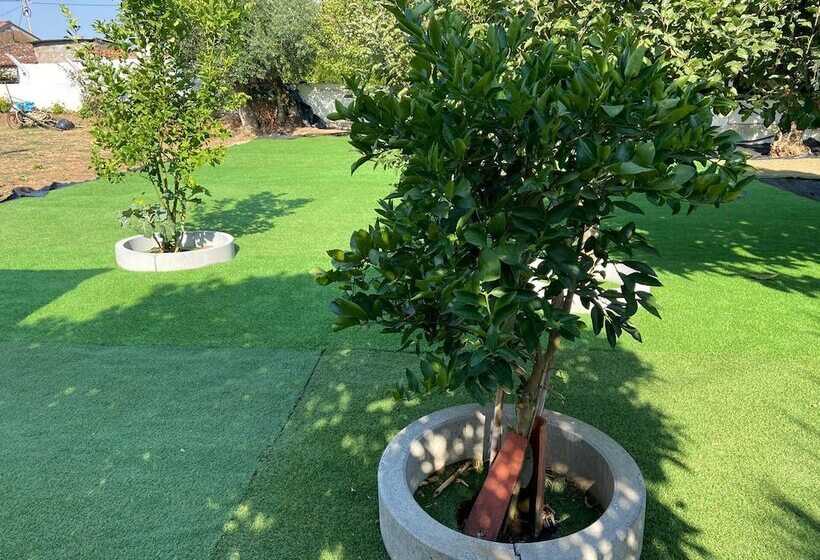 Visitar Bioucas I   Casa Inteira Familiar E Grupo De Amigos