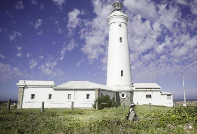 ユースホステル Seals Backpackers