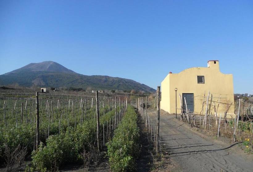 Vesuvio Inn Guest House E Wine Experience