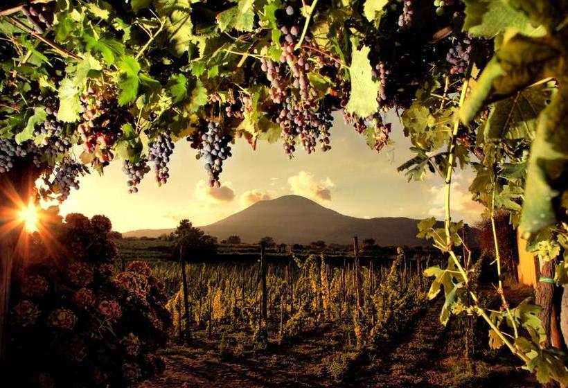 Vesuvio Inn Guest House E Wine Experience