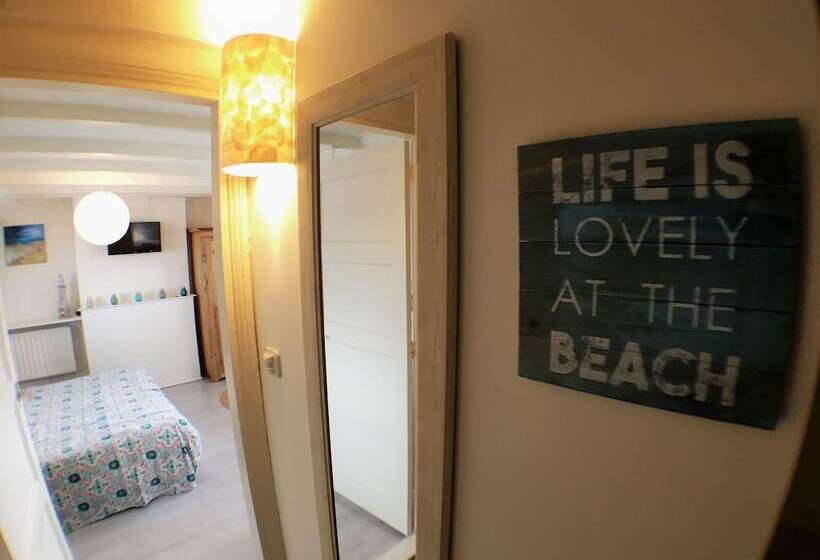 B&b Little Miss Sunshine