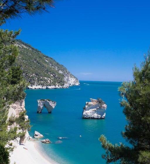 住宿加早餐  Apulia Bed&breakfast