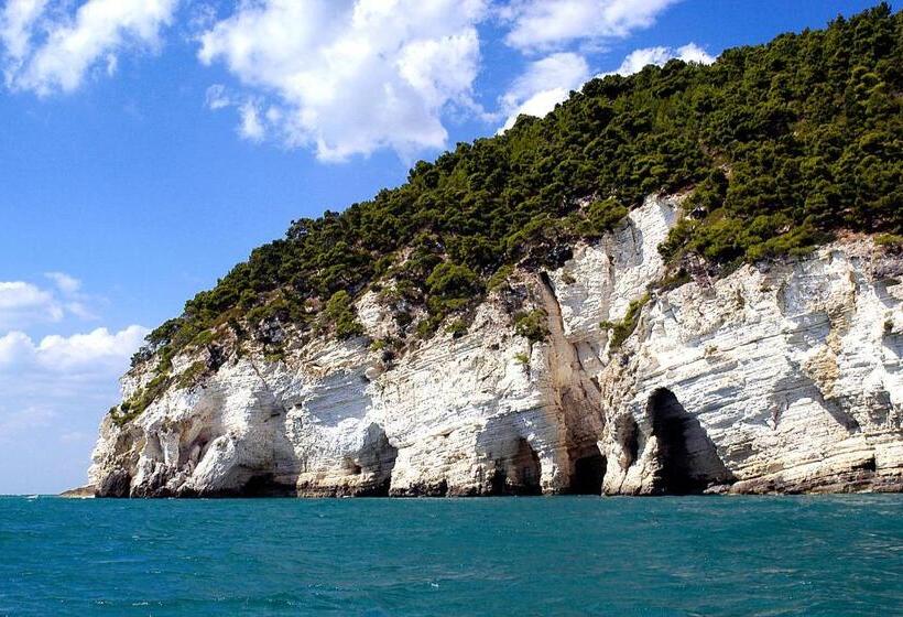 住宿加早餐  Apulia Bed&breakfast